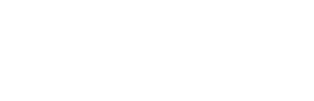 Plazur Industries